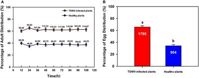 Odor, Not Performance, Dictates Bemisia tabaci's Selection between Healthy and Virus Infected Plants